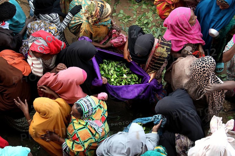 Women in a busy market gather around Khat stands, Awaday, Ethiopia