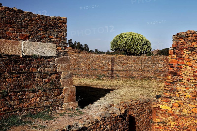 Stone palace of the Queen of Sheba in Axum shows ancient architecture in front of a peaceful landscape, Axum, Ethiopia