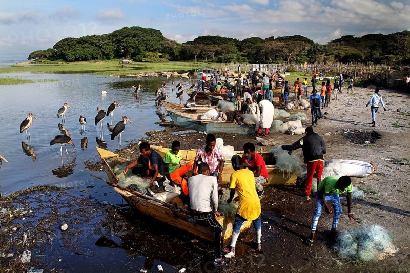 Hustle and bustle at the fish market, boats and people on the shores of the lake, Awassa, Ethiopia
