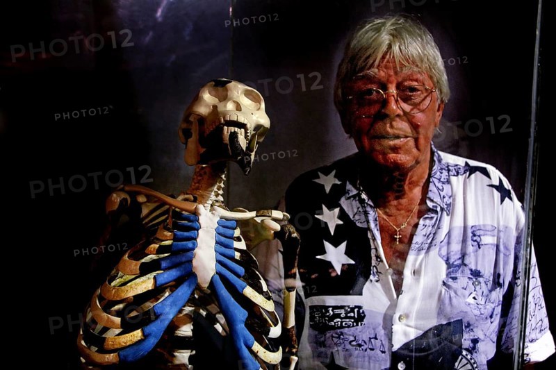 Person next to the famous Lucy skeleton in the National Museum of Addis Ababa, Addis Ababa, Ethiopia