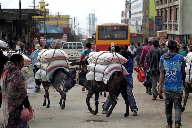 Street scene with loaded donkeys and passing vehicles in the city, Addis Ababa, Mercato, Ethiopia