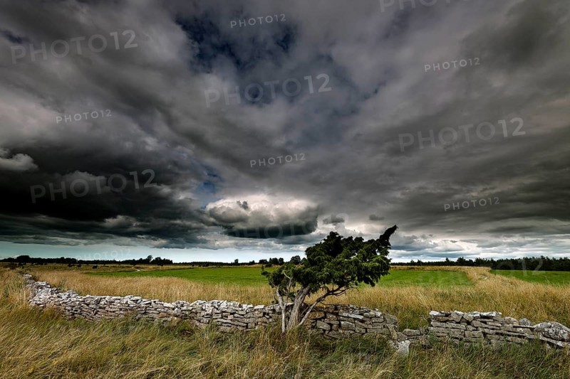 Wide landscape in Vilsandi National Park with dramatic sky and stone wall, Vilsandi National Park, Saaremaa, Estonia