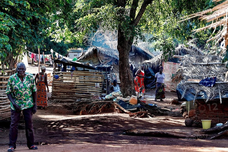Scene in a village with traditional huts under shady trees and people active in the background, Brobo, Côte d'Ivoire