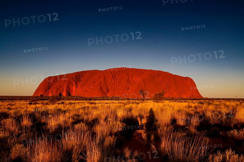 Uluru in warm colors just in front of sunset in the Australian Outback, Uluru, Northern Territory, Australia