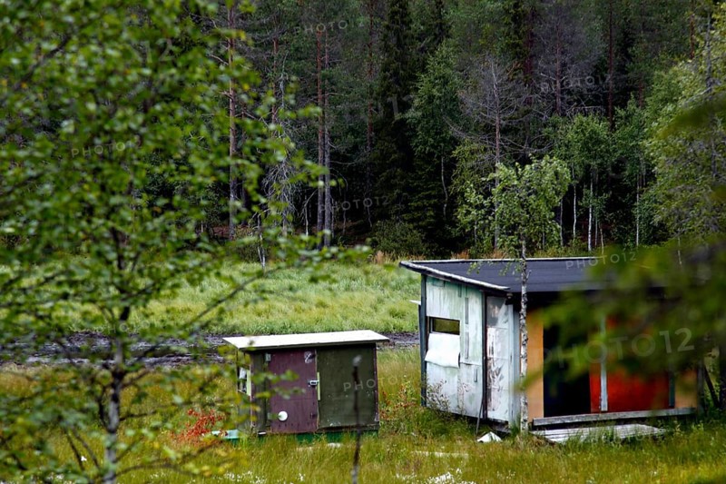 Bear watching hut in the green forest of Kuusamo, Kuusamo, Finland