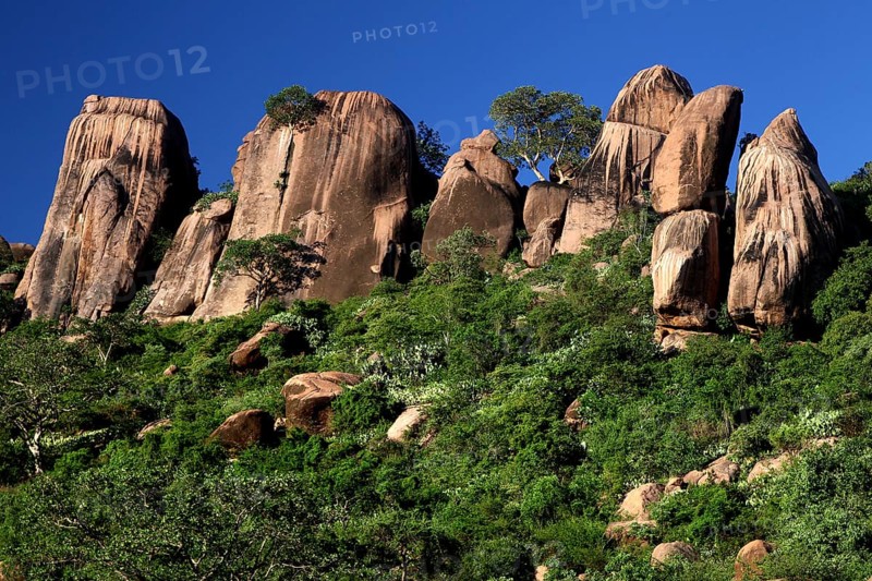 Formation of raised rocks and green vegetation in the Valley of Wonders, Babile, Oromia, Ethiopia