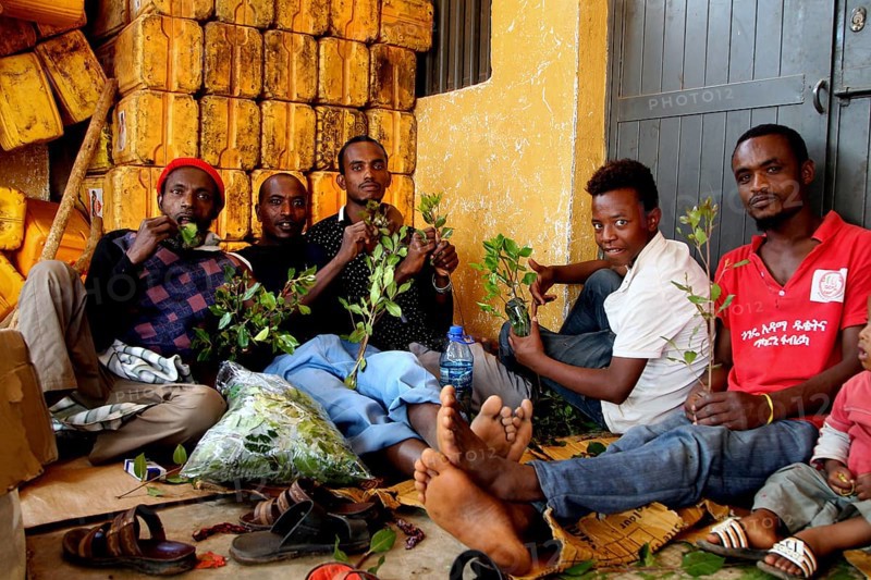 Men sit in a room and consume khat while laughing in a relaxed way, Babile, Ethiopia