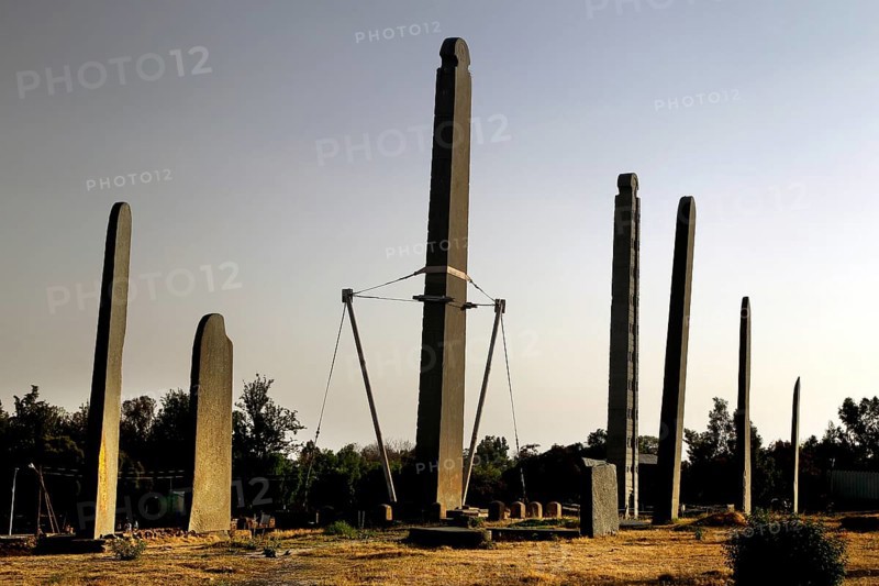 Several standing steles under a clear sky in ancient Axum, Axum, Tigray, Ethiopia