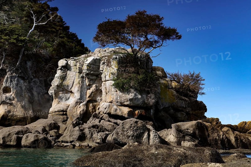 Rocks with tree against a clear blue sky in the coastal landscape, Adele Island, Abel Tasman National Park, New Zealand