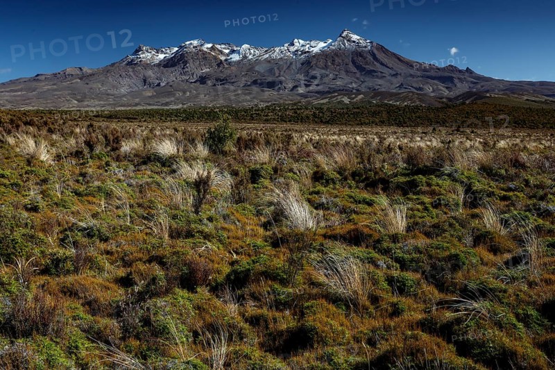 View of snow-capped Mount Ruapehu along Desert Highway, Mount Ruapehu, New Zealand