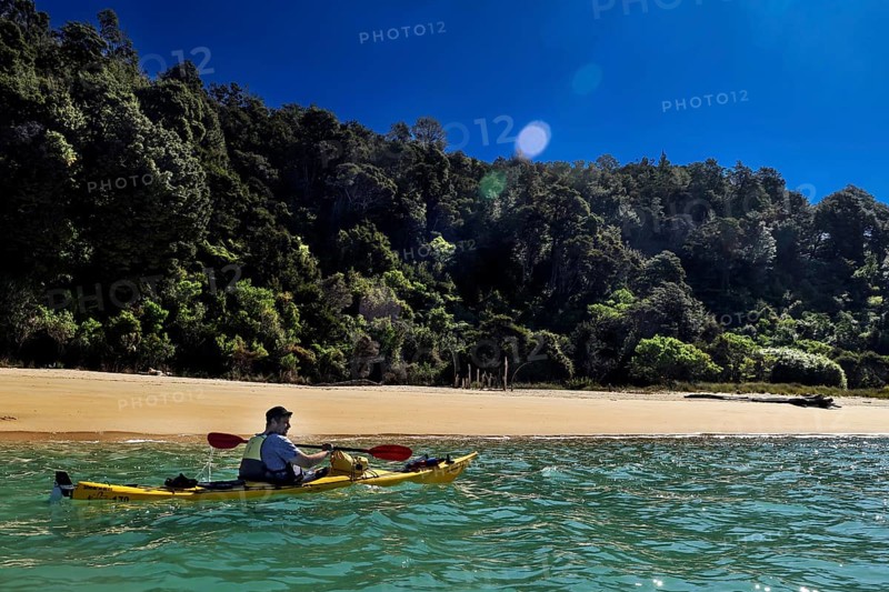 Single person kayaking in front of densely wooded beach, Stillwell Bay, Abel Tasman National Park, New Zealand