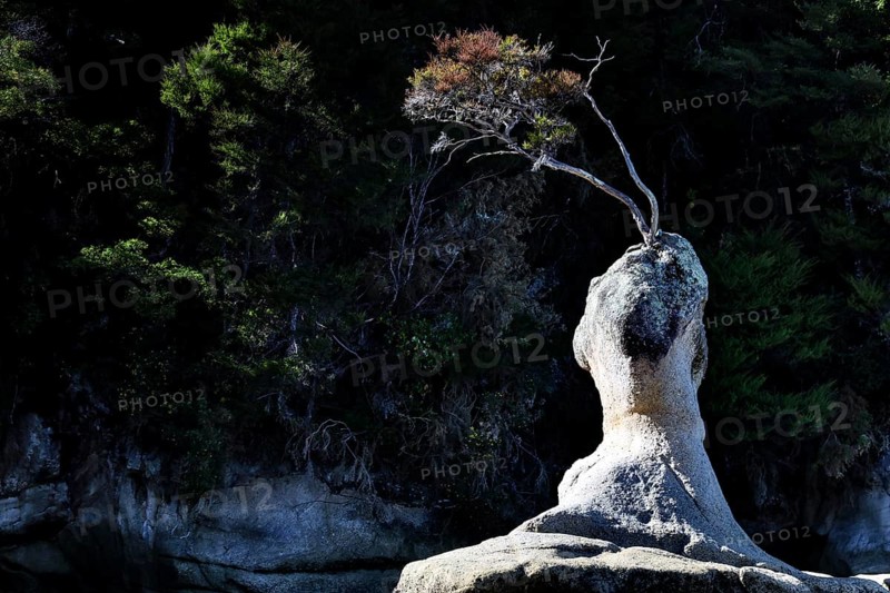 Dramatic rock formation with barren vegetation in shade, Appletree Bay, Abel Tasman National Park, New Zealand
