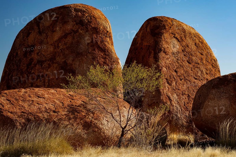 Massive, smooth rocks in the desert surrounded by sparse vegetation, Devil's Marbles, Northern Territory, Australia