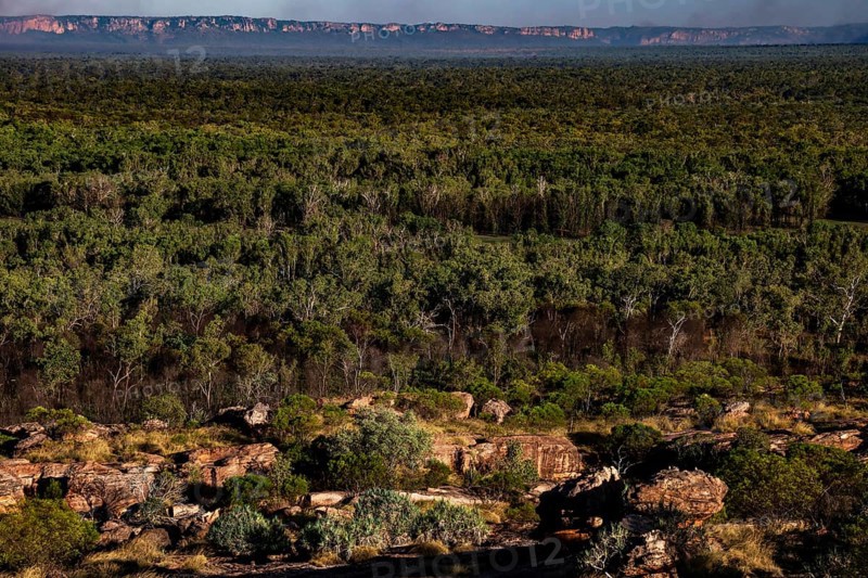 Dense green forests stretch across rocky landscape in Kakadu National Park, Nawurlandia, Arnhem Land, Kakadu National Park, Northern Territory, Australia