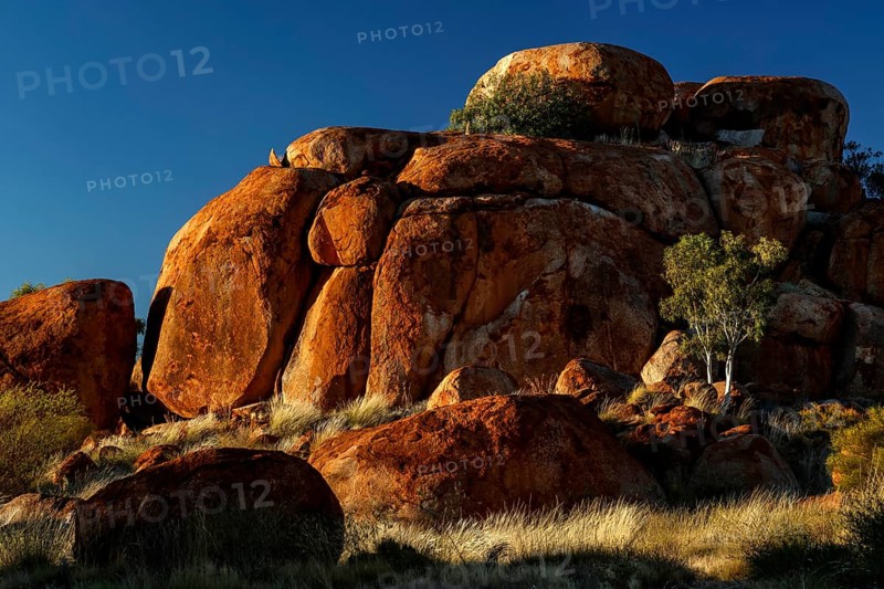Majestic red rocks with scattered trees under bright blue sky, Devil's Marbles, Northern Territory, Australia