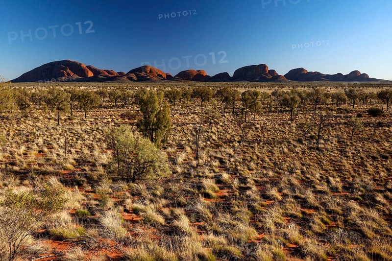 View of the Olgas from afar across an arid plain, Kata Tjuta, Northern Territory, Australia