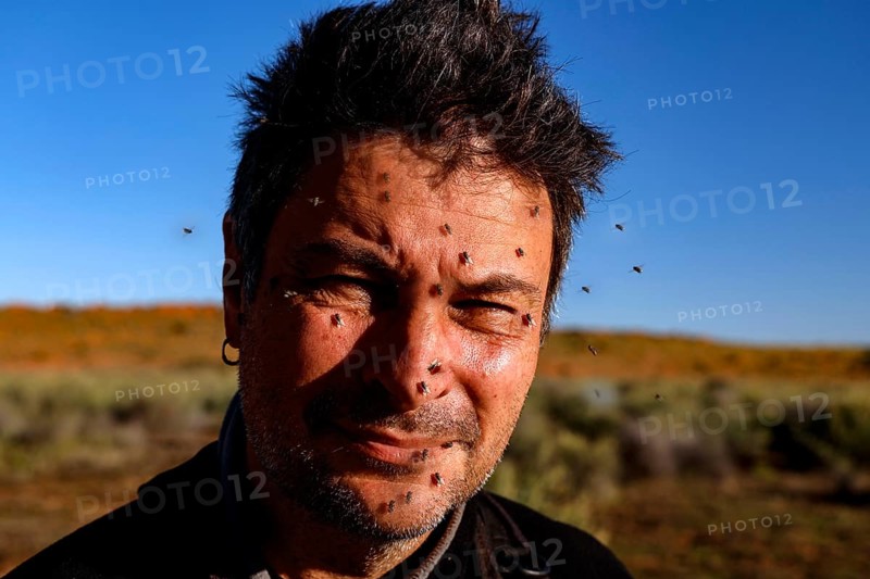 Portrait of a man surrounded by flies in a steppe-like landscape under clear sky, zero