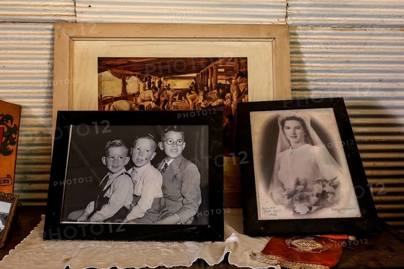 Collection of nostalgic black and white photos of children and brides, zero