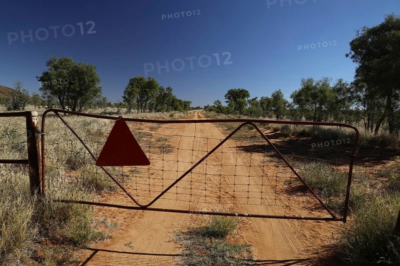 Metal gate on sandy desert road with trees in background