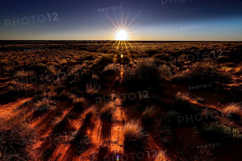 Sunrise over the Simpson Desert with golden rays, Simpson Desert, Australia