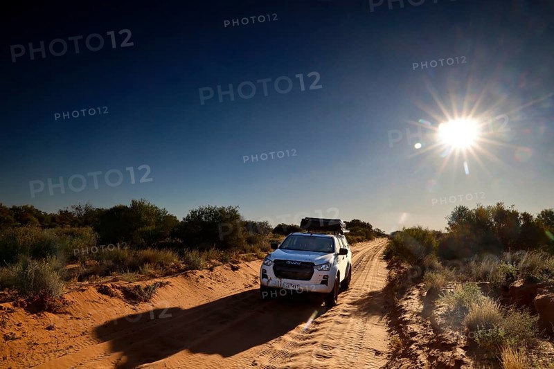 4WD vehicle at sunrise on a desert track in the Simpson Desert, Simpson Desert, Australia