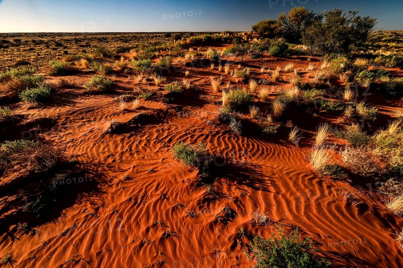Extensive, sandy landscape of the Simpson Desert with sparse vegetation, zero