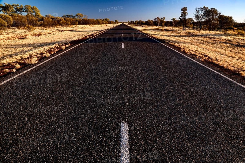 Lonely and straight desert road under clear blue sky with sparse vegetation, Stuart Hwy, Northern Territory, Australia