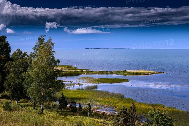 Üügu Pank cliff overlooking the wide, calm sea, Muhu, Estonia