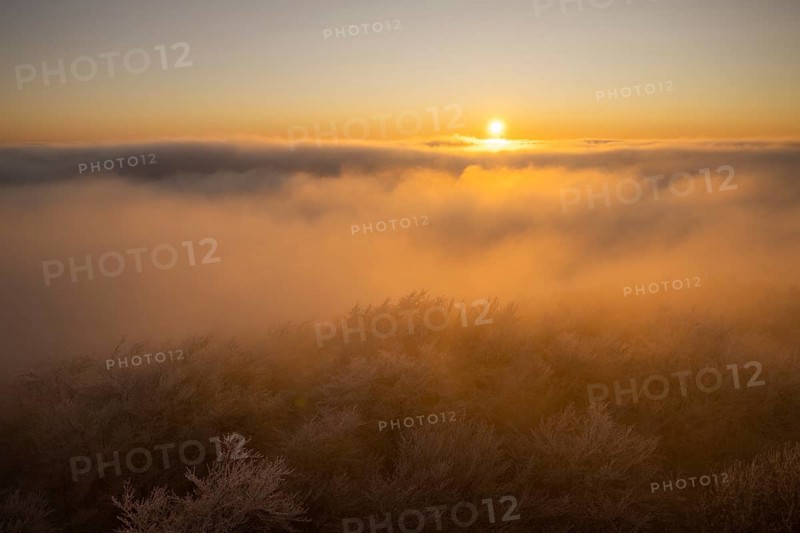 Beech forests at sunset with hoarfrost, view westwards of the crest of the Teutoburg Forest, after sunset, Steinegge observation tower, Dissen, Osnabrück district, Lower Saxony, Germany