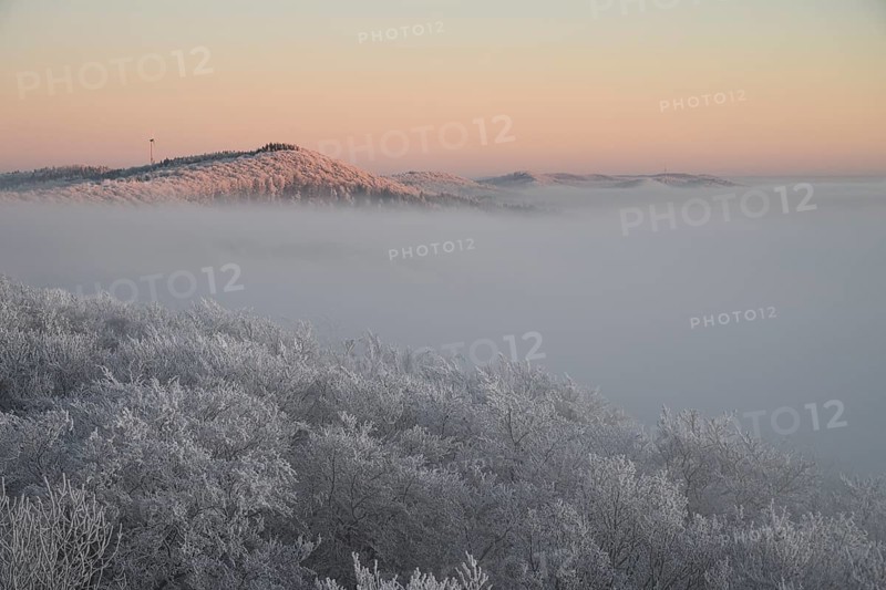 Snowy range of hills with frosty trees in the morning light, Hermannsweg an der Steinegge, Dissen am Teutoburger Wald, Lower Saxony, Germany