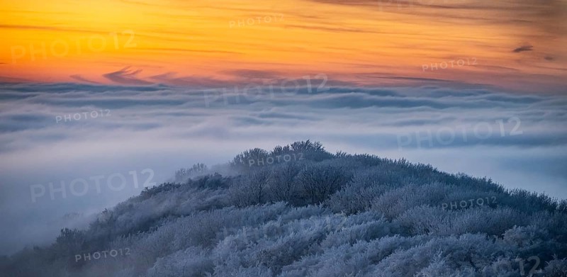Hill at sunset surrounded by fog and frosty, snowy forest in the Teutoburg Forest, Steinegge observation tower, Dissen, Osnabrück district, Lower Saxony, Germany