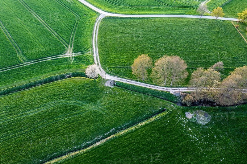 Positive oblique aerial image of agricultural land and trees in special light with glowing shades of green and blooming trees, Osnabrücker Land, Wiehen Mountains, Lower Saxony, Germany