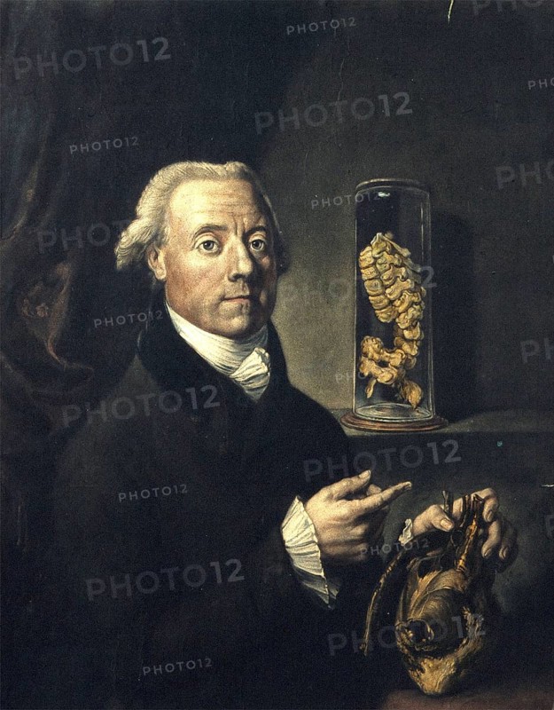 Der englische Chirurg John Heaviside, Porträt etwa 1803. Medizin, Medizingeschichte, Gemälde, historisch