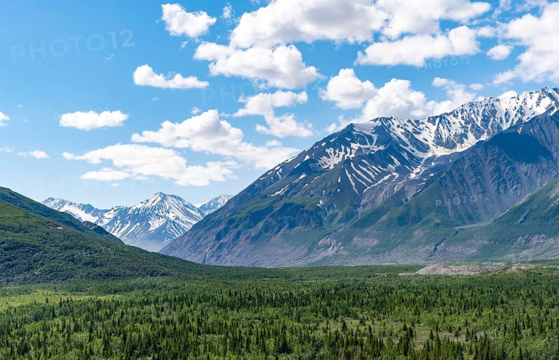 Mountain peak with snow and taiga, Alaska Range, Richardson Highway, Alaska, USA