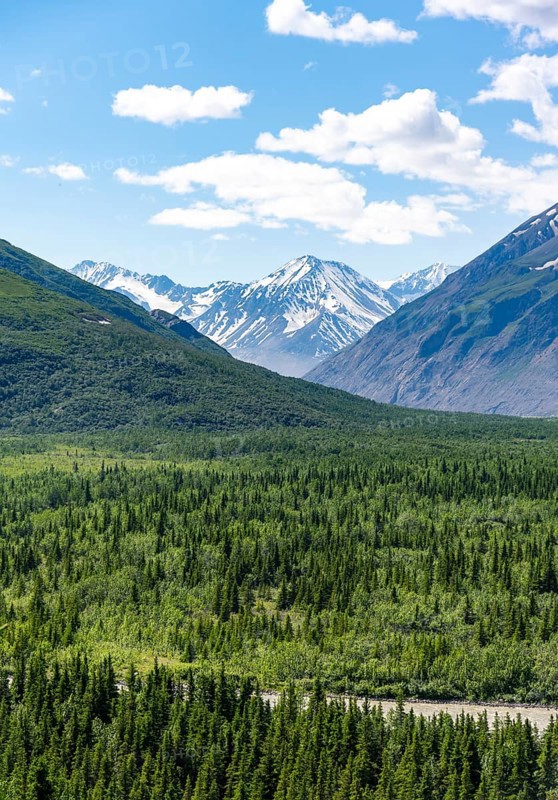 Mountain peak with snow and taiga, Alaska Range, Richardson Highway, Alaska, USA