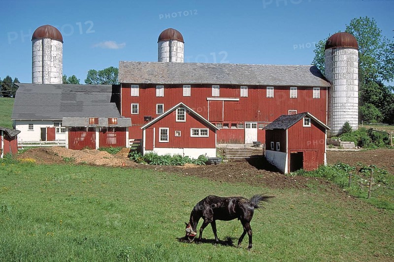 Dairy farm with silo towers, Marksborow, New Jesey, USA