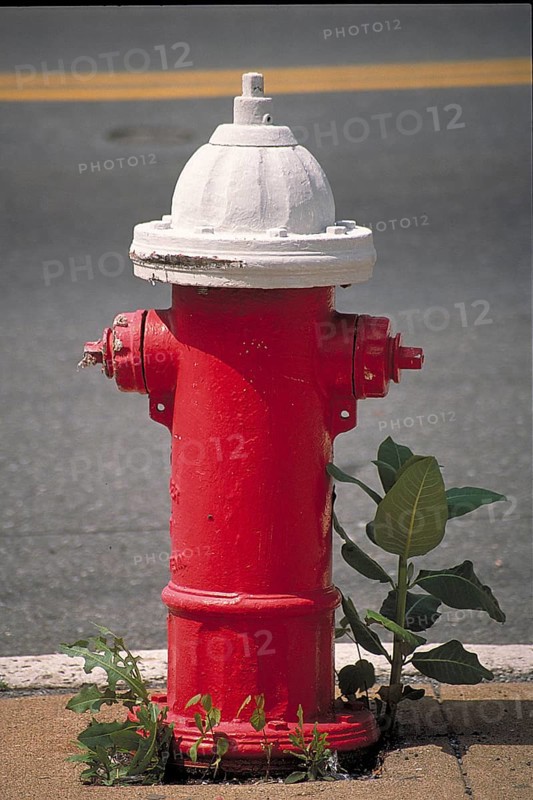 Red white hydrant, New York City, USA