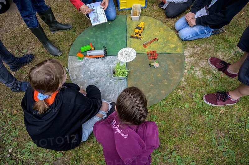Children look at an agricultural model on the ground in a garden area, event for schoolchildren of the Aktion Transparenz schaffen, Osnabrücker Land, Lower Saxony, Germany