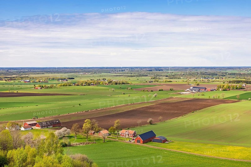 View of a cultivated plain landscape with farms and red barns a sunny spring day in th e countryside with a view to the horizon, Falköping, Sweden