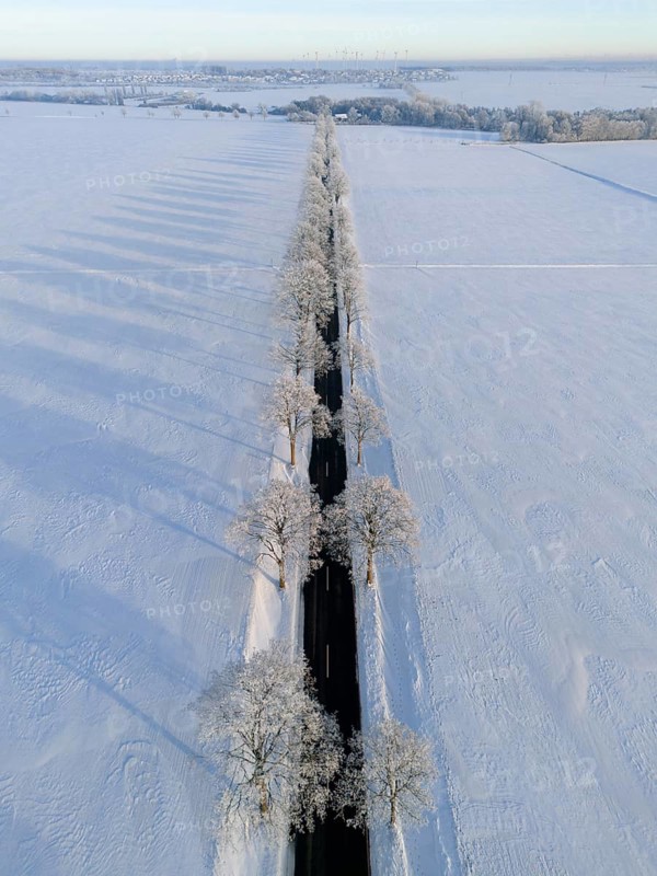 Straight road with trees and long shade in a snowy winter landscape, aerial view, winter, hoarfrost, between Adenstedt and Groß Bülten, municipality of Ilsede, district of Peine, Lower Saxony, Germany