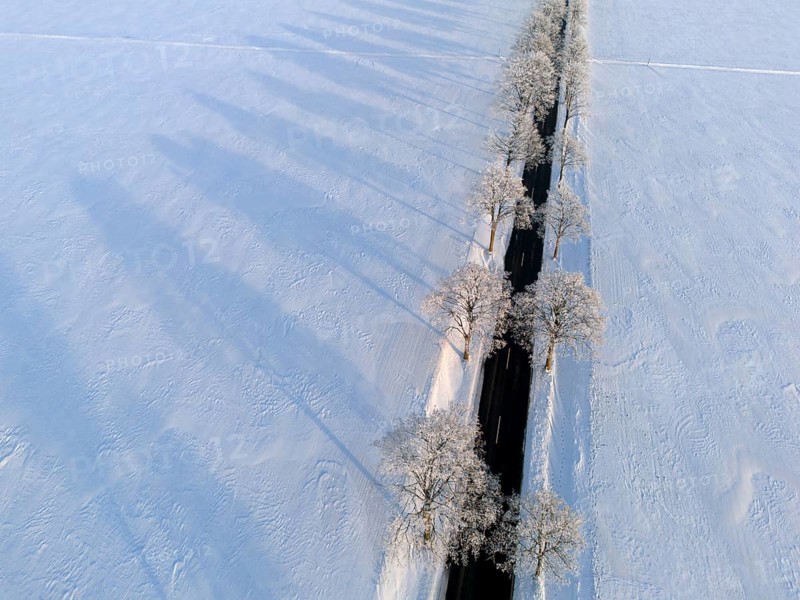 Snowy avenue with trees and road, shade falling over white fields, aerial view, winter, hoarfrost, between Adenstedt and Groß Bülten, municipality of Ilsede, district of Peine, Lower Saxony, Germany