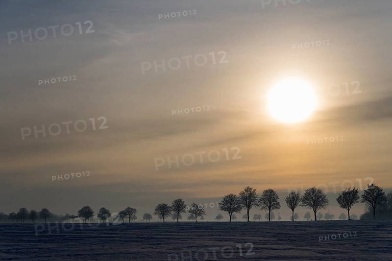 Winter landscape with low sun over snow-covered fields and a row of trees, winter, snow, Oelsburg, Ilsede municipality, Peine district, Lower Saxony, Germany
