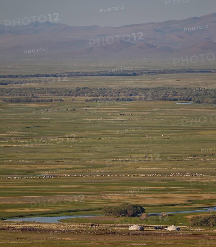 Yurts with large flock of sheep and horses in an extensive Mongolian steppe landscape with floodplain and mountains in the background, Bulgan, Mongolia