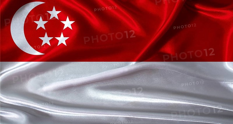 National flag of Singapore with cloth texture. Singapore flag with realistic texture background