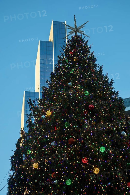 Detroit, Michigan - A decorated Christmas tree near rhe Hudson's Detroit development. The skyscraper, still under construction, will contain a luxury hotel and condominiums