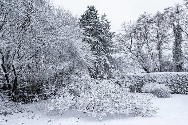 Winter garden landscape, Emsland, Lower Saxony, Germany