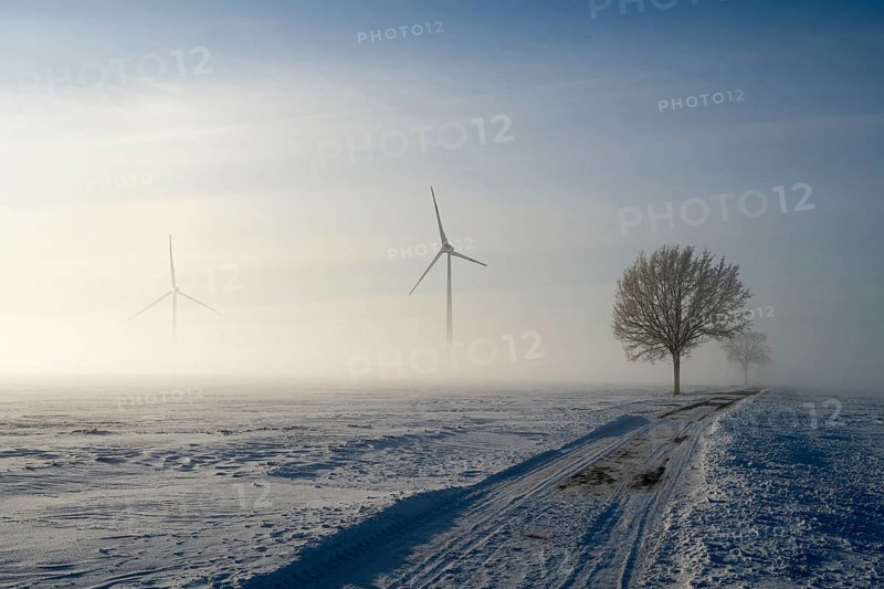 Snow-covered landscape in fog with wind turbines and a tree under a blue sky, wind turbine and tree in snow in fog, between Bülten and Solschen, Ilsede, Peine district, Lower Saxony, Germany