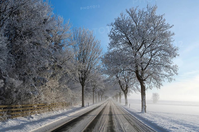 Snowy country road lined with frost-covered trees under a clear sky, trees on an avenue with hoarfrost between Solschen and Adenstedt, Ilsede, Peine district, Lower Saxony, Germany
