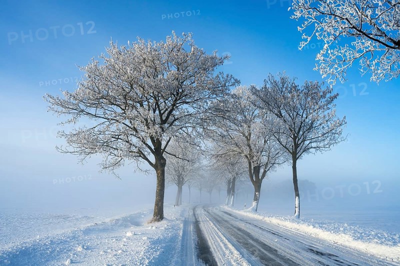 Snowy road with snow-covered trees under clear blue sky, trees on an avenue with hoarfrost between Adenstedt and Solschen, Ilsede, Peine district, Lower Saxony, Germany