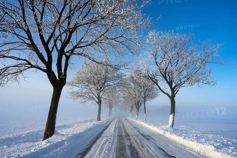Snowy and quiet road with bare trees on a clear winter day, trees on an avenue with hoarfrost between Solschen and Adenstedt, Ilsede, Peine district, Lower Saxony, Germany